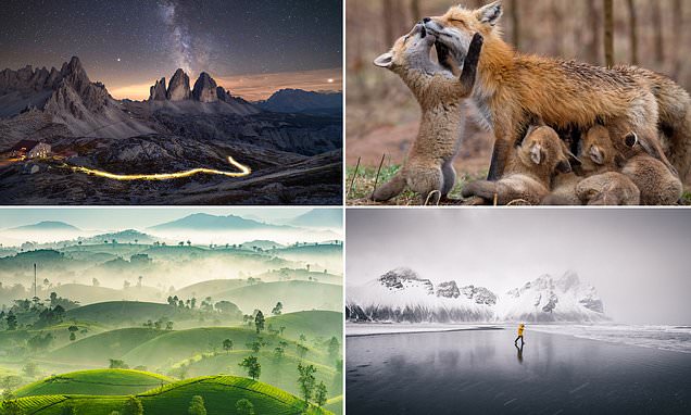 Nominator Lomba Foto Internasional, `the Sony World Photography Awards`